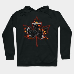 Black Wolf in Maple Leaf "October Wolf" Hoodie